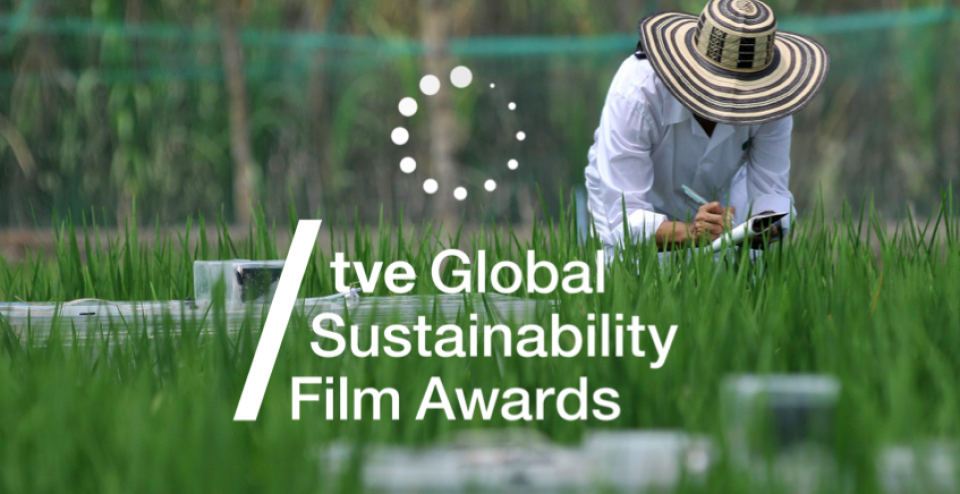 tve Global Sustainability Awards