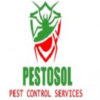 Profile picture for user services pestosol