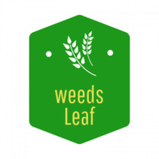 Profile picture for user Leaf Weeds