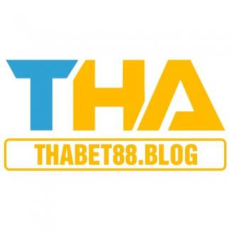 Profile picture for user blog Thabet88