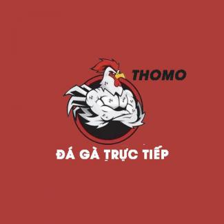 Profile picture for user Thomo Đá gà