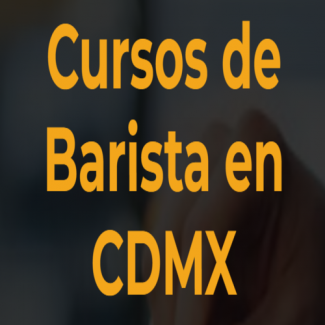 Profile picture for user Barista Cafe Cursos