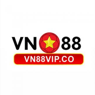 Profile picture for user _ VN88
