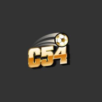 Profile picture for user VN  C54