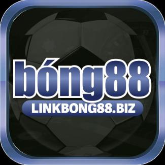 Profile picture for user . bong88