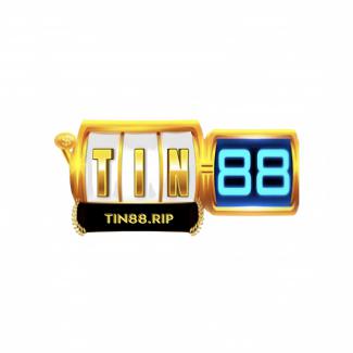 Profile picture for user rip tin88