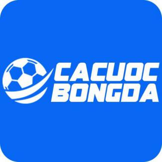 Profile picture for user Bong Da Ca Cuoc