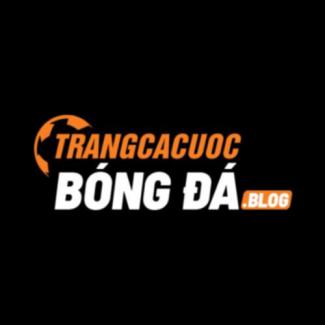 Profile picture for user Trải Nghiệm Thể Thao Đỉnh Cao Trang Cá Cược Bóng Đá Uy Tín