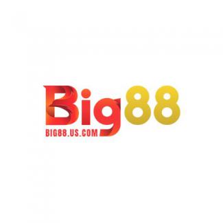 Profile picture for user us com Big88
