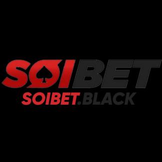 Profile picture for user black Soibet